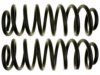 GENERAL MOTORS 19255625 Coil Spring