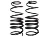 GENERAL MOTORS 19113815 Coil Spring