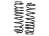 GENERAL MOTORS 19113816 Coil Spring