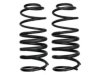 GENERAL MOTORS 19144172 Coil Spring
