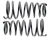 GENERAL MOTORS 19240066 Coil Spring