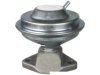 OEM 17111851 EGR Valve
