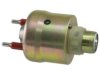 OEM 17111774 Fuel Injector