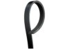 DAYCO PRODUCTS LLC 205039 Belt