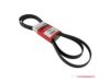 MOTORCRAFT  JK6883A Belt