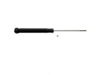 OEM 19295539 Strut