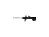 OEM 19295572 Strut