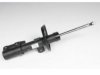 OEM 15876216 Strut