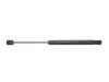 GENERAL MOTORS 19203124 Lift Support