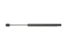 GENERAL MOTORS 19203125 Lift Support