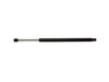 GENERAL MOTORS 19235273 Lift Support