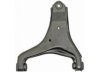 DORMAN 520148 Control Arm