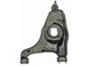 DORMAN 520350 Control Arm