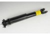 OEM 25770450 Shock Absorber