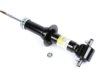 OEM 540647 Shock Absorber