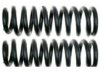 RAYBESTOS  5851369 Coil Spring