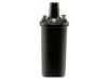OEM 035905105 Ignition Coil