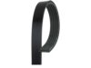 SUBARU 809218400 Belt