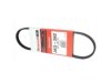 MOTORCRAFT  JK3262 Belt