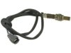 AIRTEX / WELLS  5S3593 Oxygen (O2) Sensor