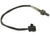 AIRTEX / WELLS  5S3598 Oxygen (O2) Sensor