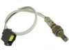 OEM 56028997AA Oxygen (O2) Sensor