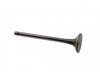 OEM 6130086 Exhaust Valve