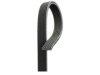 VOLKSWAGEN 06A260849 Belt