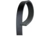 GENERAL MOTORS 55565302 Belt
