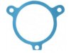 FEL-PRO  35326 Water Pump Gasket