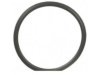 FEL-PRO  35445 Thermostat / Thermostat Housing / Water Outlet Seal