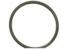 FEL-PRO  35653 Thermostat / Thermostat Housing / Water Outlet Seal