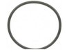 FEL-PRO  70301 Oil Filter Adapter Gasket