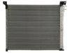 OEM 6C2Z19712A A/C Condenser