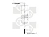 BGA  V160890 Intake Valve