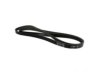 MOTORCRAFT  JK6873AB Belt