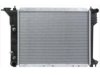 OEM 4266564 Radiator
