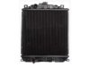 OEM 300016641 Radiator