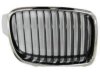 VARIOUS MFR  BM1200231 Grille
