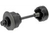 CHRYSLER 55364001AA Body Mount
