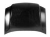 VARIOUS MFR  GM1230318 Hood