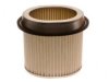 OEM 25099245 Air Filter