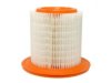 GENERAL MOTORS 25313796 Air Filter