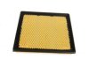 GENERAL MOTORS 20972655 Air Filter