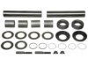 INTERNATIONAL HARVESTER (NAVISTAR) 493095C94 King Pin Set