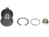 Airtex K90255 Ball Joint