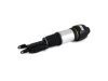 OEM 2113205513 Strut