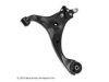 OEM 545001M100 Control Arm
