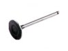 TOYOTA 1371176040 Intake Valve