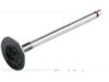 MAZDA F20112111 Intake Valve